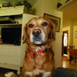 Profile Picture of joseph prusakowski (@josephprusakowski) on Instagram