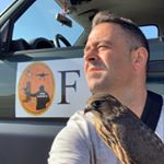 Profile Picture of Ruben Olvera (@goldfalconry) on Instagram