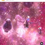 Profile Picture of Patrick Woods (@nice_and_naughty123) on Instagram