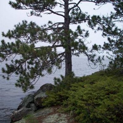 Profile Picture of William Sisson (@SissonWilliam) on Twitter