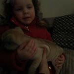 caseyhodgson - Instagram Profile Picture of caseyhodgson (@caseyhodgson) on Instagram