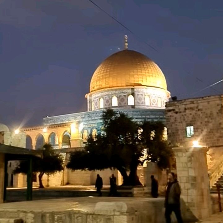 Profile Picture of Jamal fakhouri (@jamalfakhouri0) on Tiktok