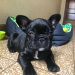 Profile Picture of Enzo Marcelo Daniel (@enzomarcelodaniel) on Instagram