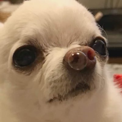 Profile Picture of Alyssa Esquer (@lysss666) on Twitter