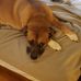Profile Picture of Carl Schueller (@carl.schueller.35) on Facebook
