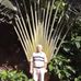 Profile Picture of Boris Semjonov (@boris.semjonov.56) on Facebook