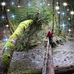 Profile Picture of Jason (@bigislandcanada) on Instagram