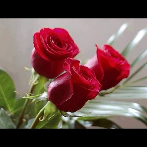 Profile Picture of Swathi Chilukuri (@swathi2016) on Poshmark