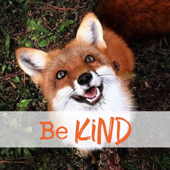 Profile Picture of Annette Witte (@huskernuts) on Poshmark