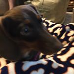 Profile Picture of Kelli Hodges (@kellihodges4) on Instagram