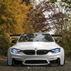 Profile Picture of Danil  Volk (@@tiger1391) on Tiktok