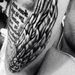 Profile Picture of Brad Hamby (@hambyf) on Pinterest