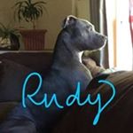 Profile Picture of Tonya J Sizemore (@tjneal913) on Instagram