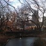 Profile Picture of Chuck Staples (@stapleschuck) on Instagram