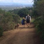 Profile Picture of Dominick De Ranieri (@deranieri21) on Instagram