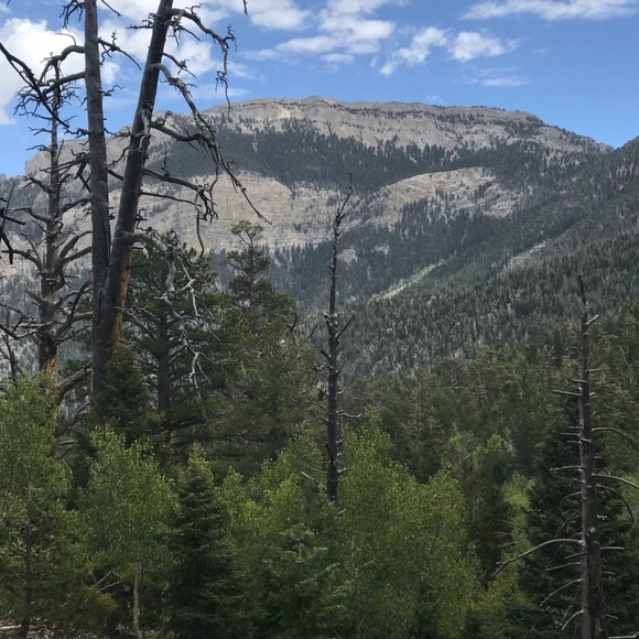 Profile Picture of Raini Fighera (@rainidays) on Poshmark