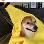 Profile Picture of   ⓞⓚ ⓑⓞⓞⓜⓔⓡ (@x_is_good)... (@x_is_good) on Tiktok
