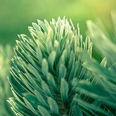 Profile Picture of Kristen Climer (@KristenClimer) on Twitter