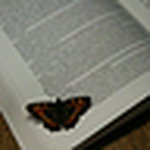 Profile Picture of Tasha Holcroft-emmess (@natasha holcroft-emmess) on Flickr