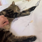 Profile Picture of Thomas Fenton (@thomasfenton3611) on Youtube