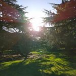 Profile Picture of David Baillie (@davebaillie) on Instagram