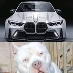 Williams Mogarn - Facebook Profile Picture of Williams Mogarn (@Williams-Mogarn) on Facebook