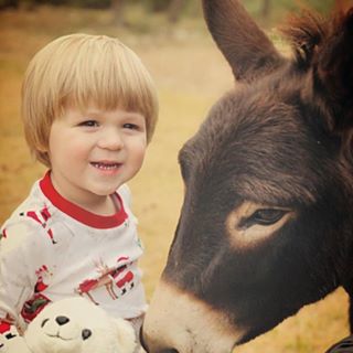 Profile Picture of Melanie Hollier Miller (@melanie.holliermiller) on Facebook