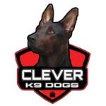 Profile Picture of 🎖🐾🇳🇱 CLEVER K9 DOGS 🇩🇪🐾🎖 (@clever.k9.dogs) on Instagram