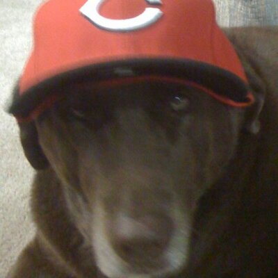 Profile Picture of Casey Howe (@HoweCdoit) on Twitter