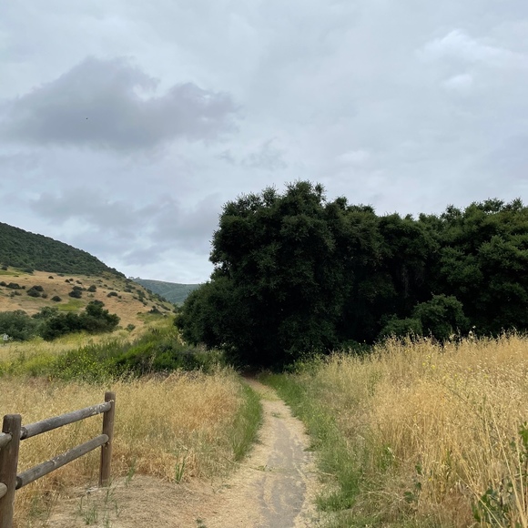 Profile Picture of Thomas Witbeck (@sizzlerrox) on Poshmark