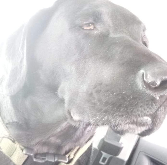 Alicia Ennor - Poshmark Profile Picture of Alicia Ennor (@aligarcia2208) on Poshmark