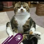 Profile Picture of David Rosberg (@david.rosberg.2025) on Facebook