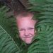 Profile Picture of Paul Newbold (@yetsober) on Pinterest