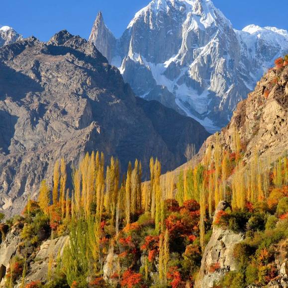 Bilkeys Khan - Poshmark Profile Picture of Bilkeys Khan (@bilkeyskhan) on Poshmark