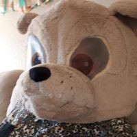 Profile Picture of Kenny Shaffer (@kenny-shaffer-4) on Quora
