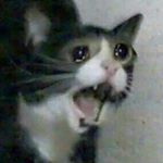 Profile Picture of Jen Mcargar (@jenny.mccargar) on Instagram