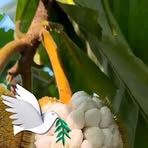 Profile Picture of Fina Hatimon (@fina.hatimon) on Facebook