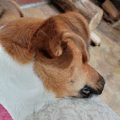 Profile Picture of Alex Marriott (@alexmarriott7987) on Youtube