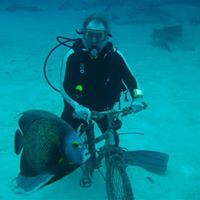 Profile Picture of Peter Laz (@peter-laz) on Quora