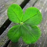 Profile Picture of Michael Marksberry (@michaelmarksberry3931) on Instagram