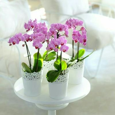 Profile Picture of Rizki Amelia Noor (@Rizameno) on Twitter