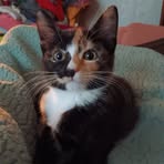 Profile Picture of Millie Moody (@Millie-Moody) on Facebook