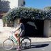 Profile Picture of Marina Oliete (@marinaao) on Pinterest