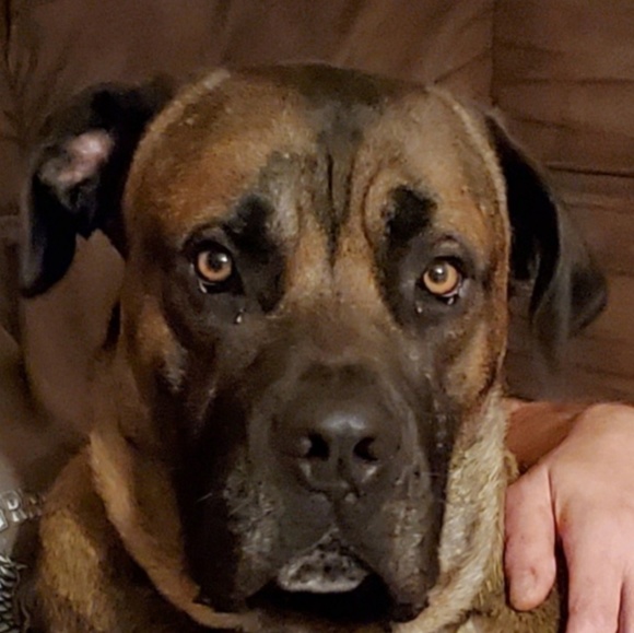 Profile Picture of Nancy Wheatley (@njdw005) on Poshmark