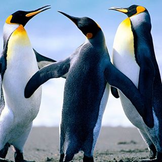 Profile Picture of Lucas Darmet (@lucas.darmet.3) on Facebook