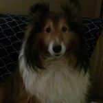 Profile Picture of alice libick (@libick00) on Instagram