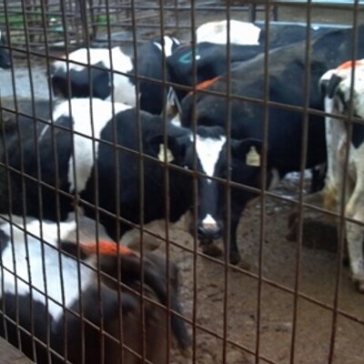 Profile Picture of Anthony Speelman (@anfy_75) on Twitter