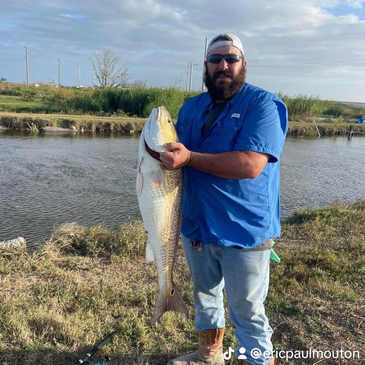 Profile Picture of Eric Paul Mouton (@ericpaulmouton) on Tiktok