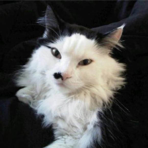 Joey Prager-werner - Poshmark Profile Picture of Joey Prager-werner (@pragerjoey) on Poshmark