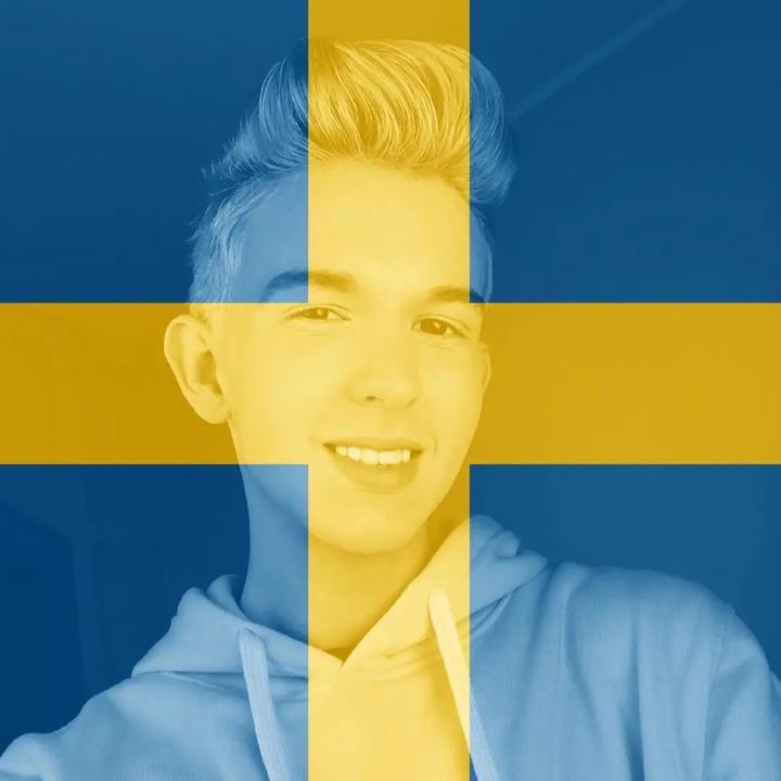 Profile Picture of Sverige (@alvinsverige) on Tiktok